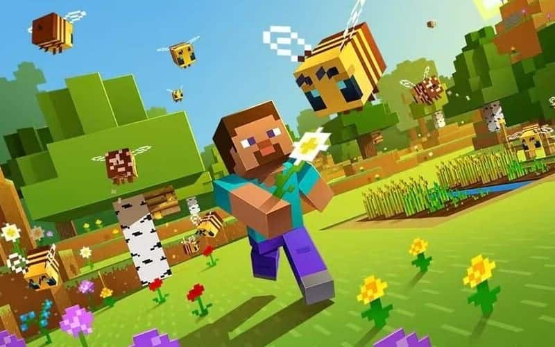 Minecraft, Video Games Wiki